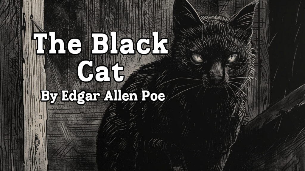 Edgar Allen Poe's The Black Cat audiobook