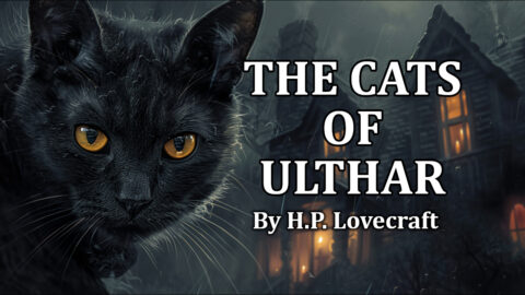 The Cats of Ulthar horror story audiobook